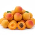 Abricots marocains savoureux