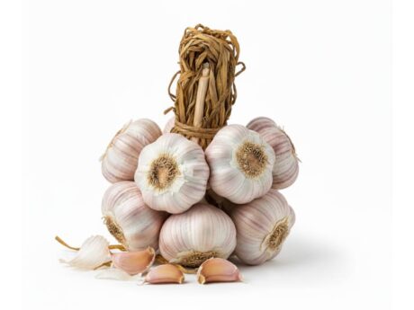 Ail marocain de haute qualité