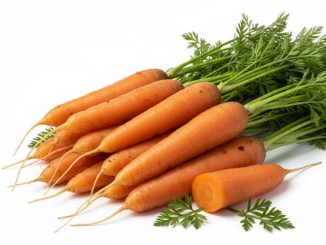Carottes fraîches du Maroc