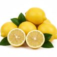 Citrons frais du Maroc