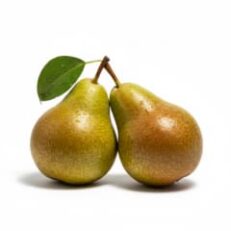 Fruits à pépins