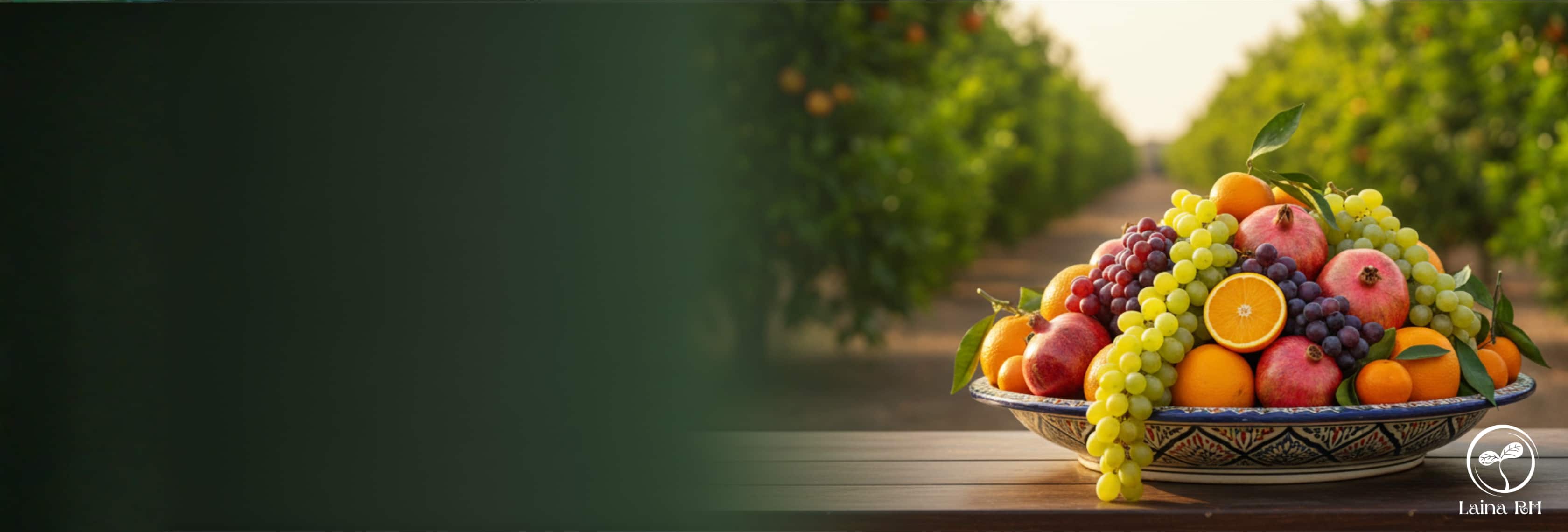 Laina RH Fruites slider image for desktop