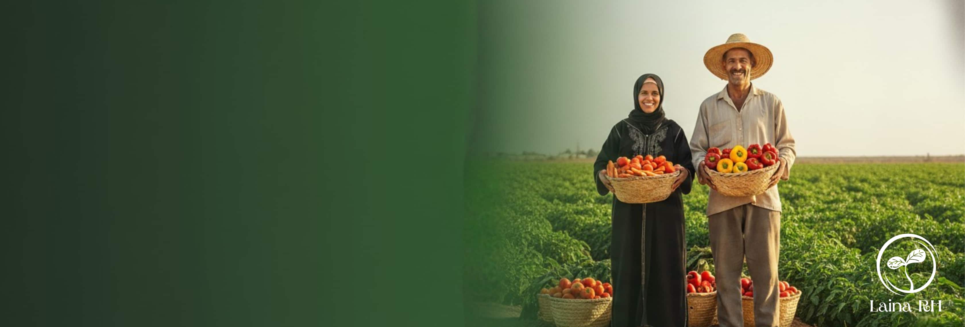 Laina RH Vegetables slider image for desktop