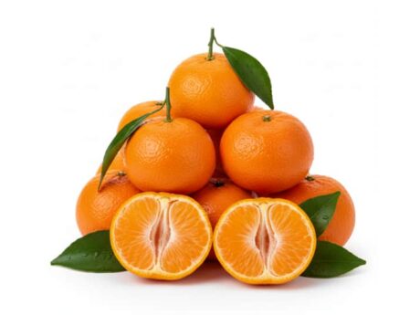Mandarines marocaines sucrées