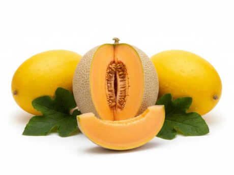 Melons marocains doux et parfumés