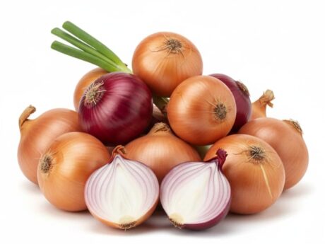 Oignons marocains dorés et rouges