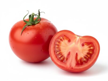 Tomates fraîches du Maroc